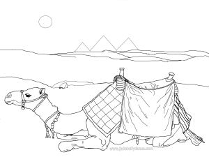 Sitting Camel - Belly Dance Colouring In picture